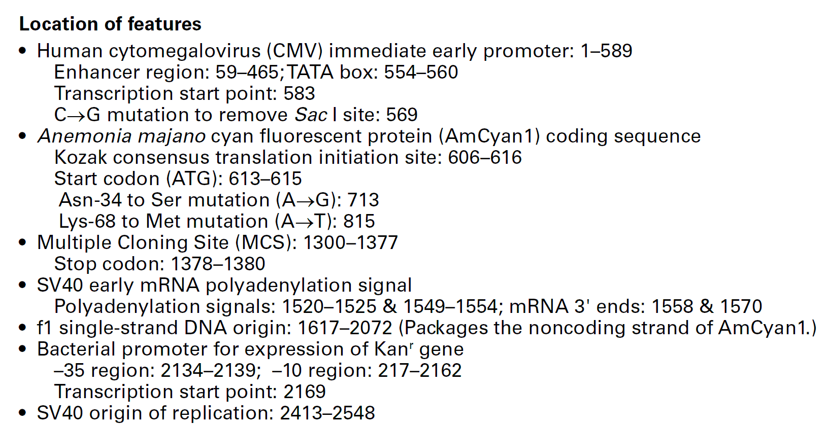pAmCyan1-C1 载体特征1